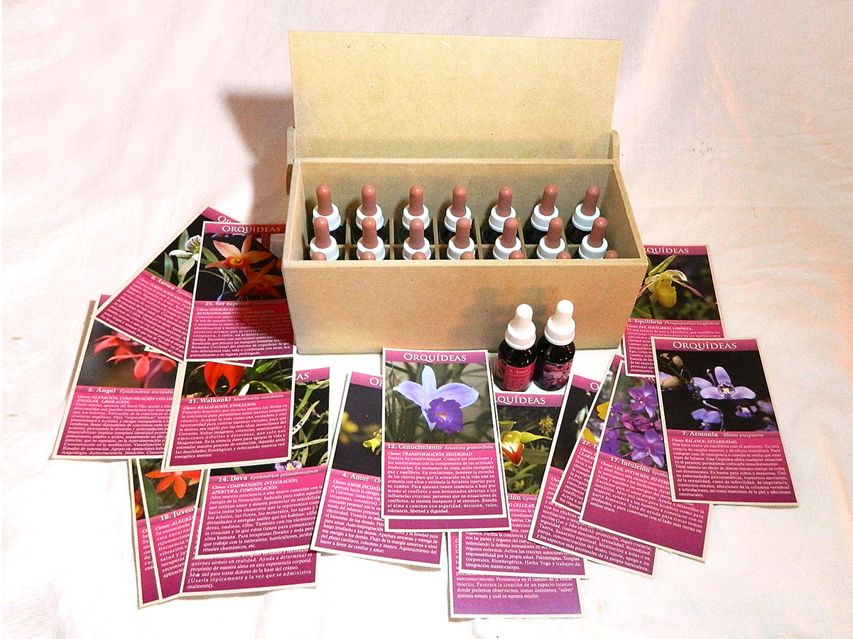 Set del Sistema Floral de Orquídeas